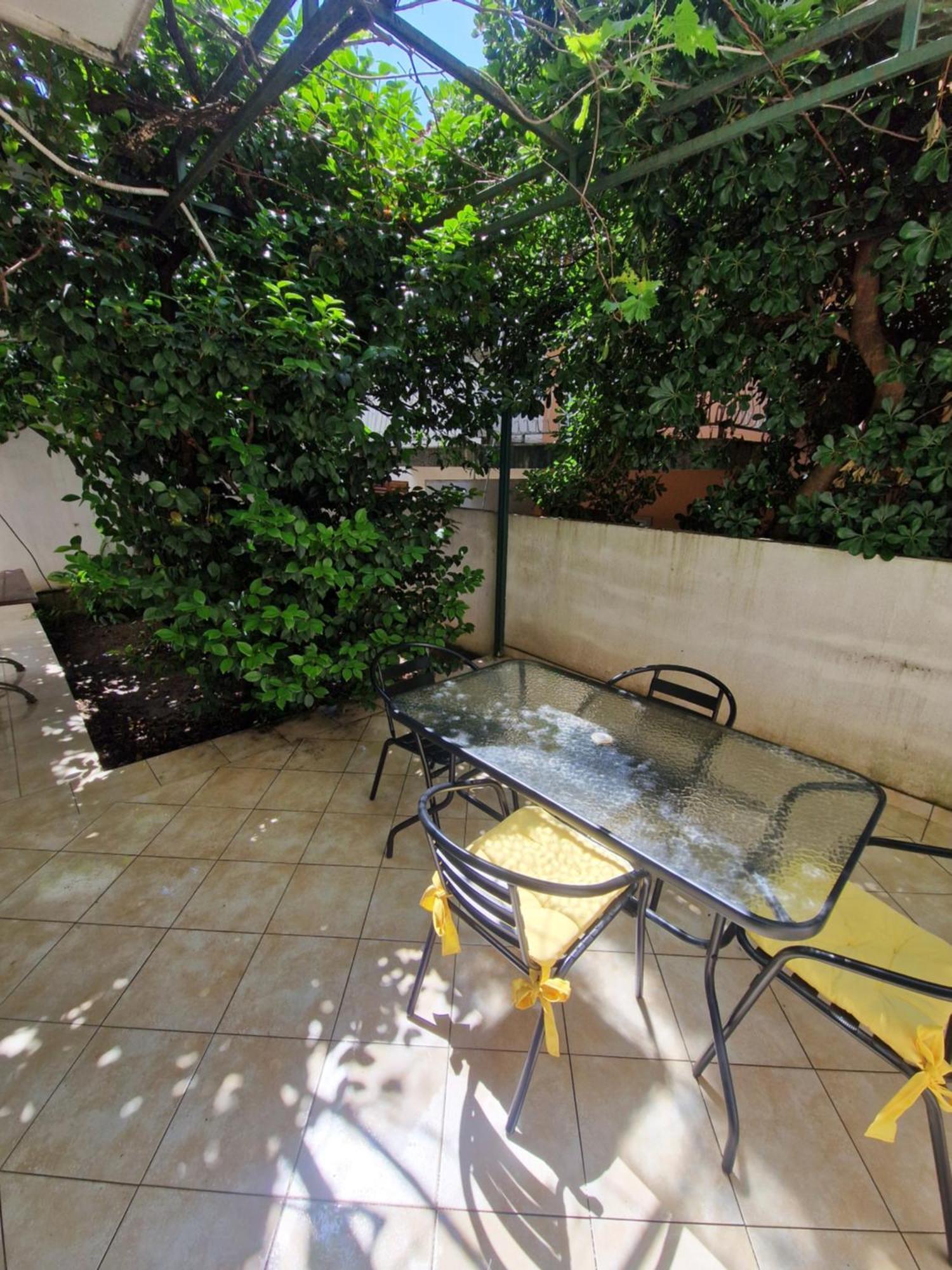בודווה Guest House Damjana חדר תמונה